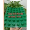 沧州车库排水板厂家%供应任丘高抗压车库排水板