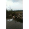 黑龙江海洋打井地质勘查信誉保证