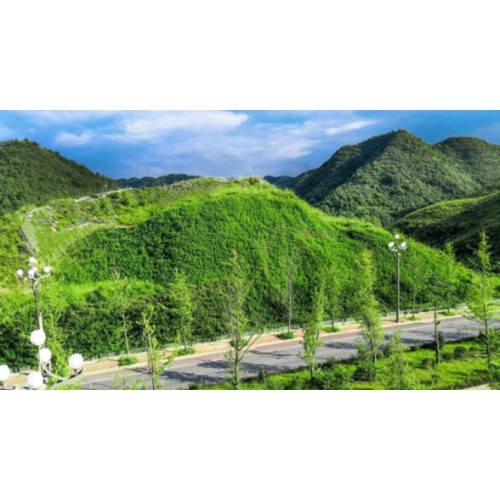 生态混凝土-植被混凝土-BSC生物基质混凝土-植生混凝土