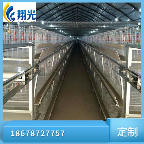 鸡舍鸡棚鸡粪传送带-全自动化清粪系统