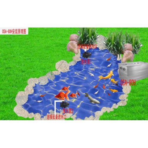 惠州私家鱼池过滤净化系统批发零售