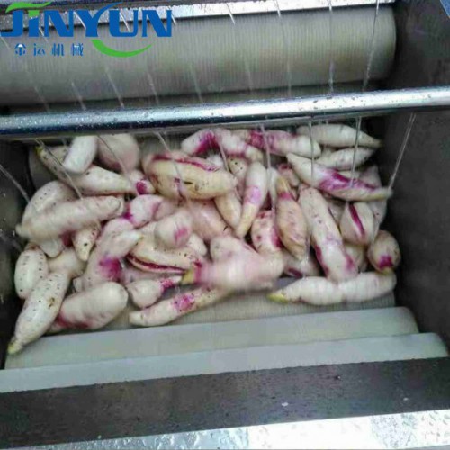 全自动胡萝卜山药高压喷淋毛刷去泥去沙清洗设备