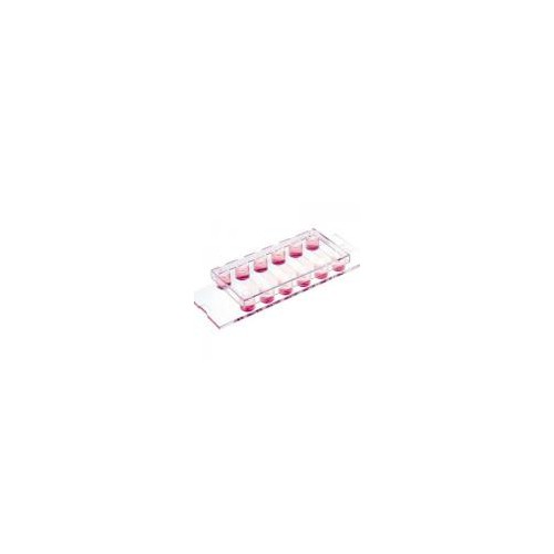 ibidi Slide VI 六通道培养载玻片-80666