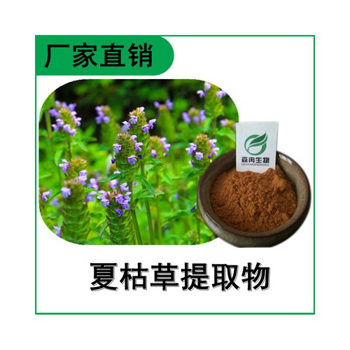 森冉生物 夏枯草「过滤违禁词-提取」物 夏枯草浓缩粉 比例「过滤违禁词-提取」原料粉