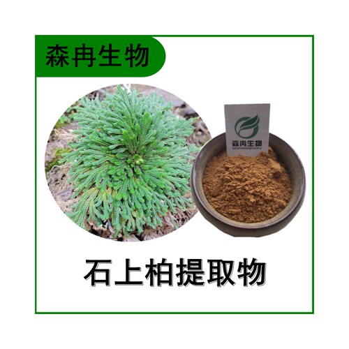 森冉生物 石上柏「过滤违禁词-提取」物 梭罗草「过滤违禁词-提取」物 比例「过滤违禁词-提取」原料粉